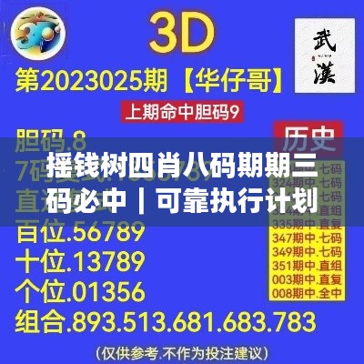 搖錢(qián)樹(shù)四肖八碼期期三碼必中｜可靠執(zhí)行計(jì)劃