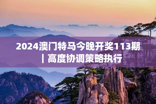 2024澳門特馬今晚開獎113期｜高度協(xié)調(diào)策略執(zhí)行