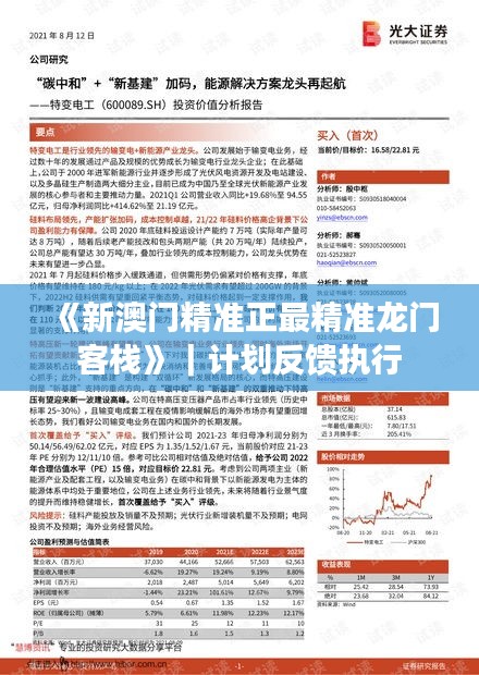 《新澳門精準正最精準龍門客?！罚媱澐答亪?zhí)行