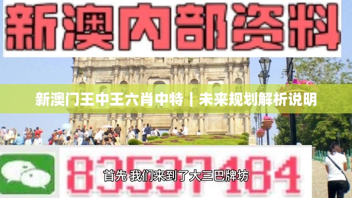 新澳門王中王六肖中特｜未來(lái)規(guī)劃解析說(shuō)明