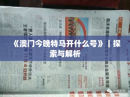 《澳門今晚特馬開什么號(hào)》｜探索與解析