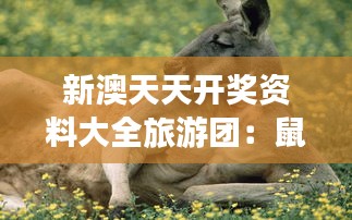 新澳天天開獎資料大全旅游團：鼠、雞、猴、狗，免費資料