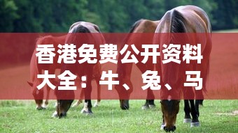 技術(shù)支持 第88頁(yè)