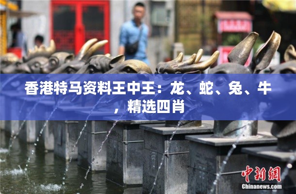 香港特馬資料王中王：龍、蛇、兔、牛，精選四肖