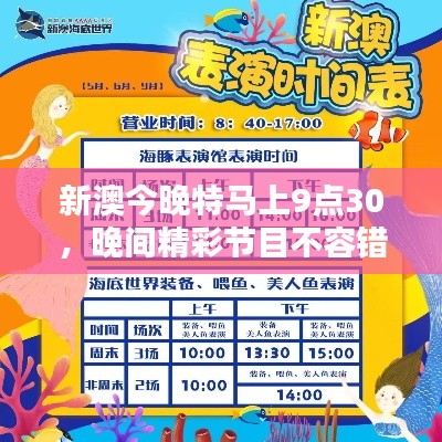 新澳今晚特馬上9點30，晚間精彩節(jié)目不容錯過