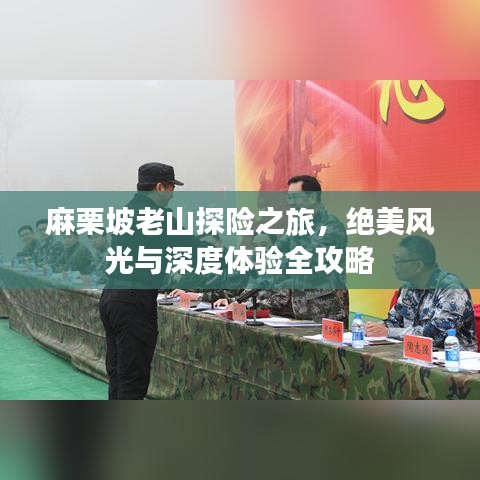 麻栗坡老山探險之旅，絕美風光與深度體驗全攻略