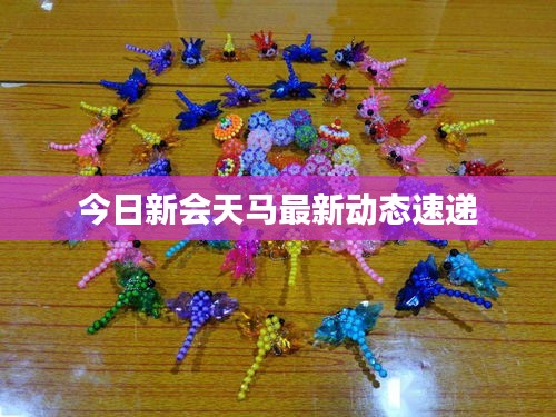 今日新會(huì)天馬最新動(dòng)態(tài)速遞