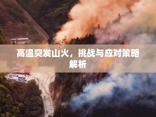 高溫突發(fā)山火，挑戰(zhàn)與應(yīng)對(duì)策略解析