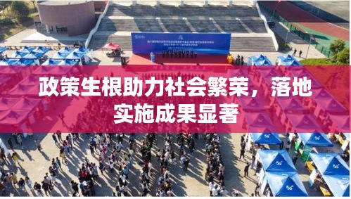 政策生根助力社會(huì)繁榮，落地實(shí)施成果顯著