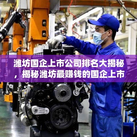 濰坊國企上市公司排名大揭秘，揭秘濰坊最賺錢的國企上市公司是哪家？