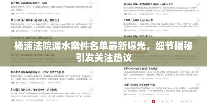 楊浦法院漏水案件名單最新曝光，細節(jié)揭秘引發(fā)關(guān)注熱議