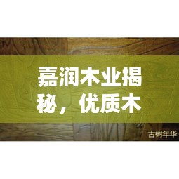 嘉潤木業(yè)揭秘，優(yōu)質(zhì)木材的奧秘探索