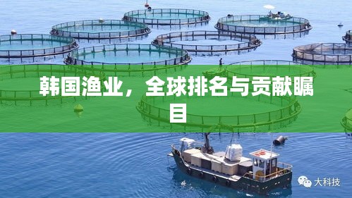 韓國漁業(yè)，全球排名與貢獻矚目