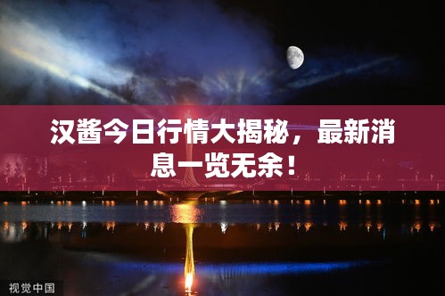 漢醬今日行情大揭秘，最新消息一覽無余！