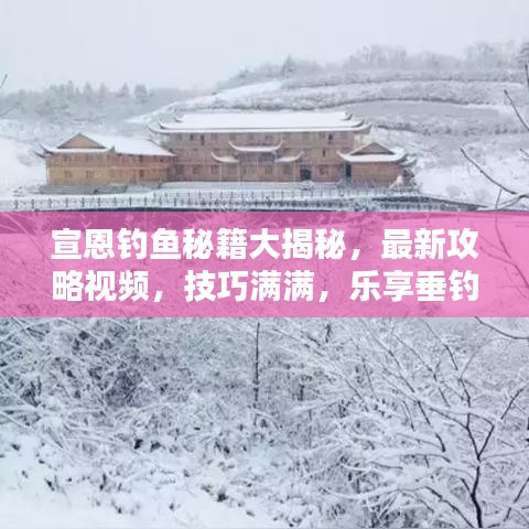 宣恩釣魚秘籍大揭秘，最新攻略視頻，技巧滿滿，樂享垂釣時(shí)光
