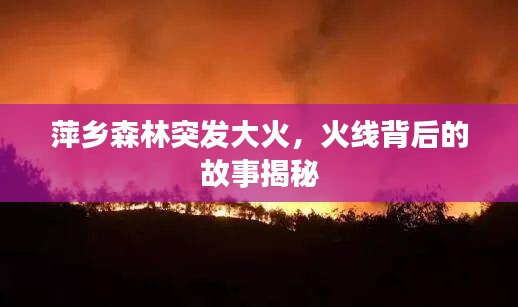 萍鄉(xiāng)森林突發(fā)大火，火線背后的故事揭秘