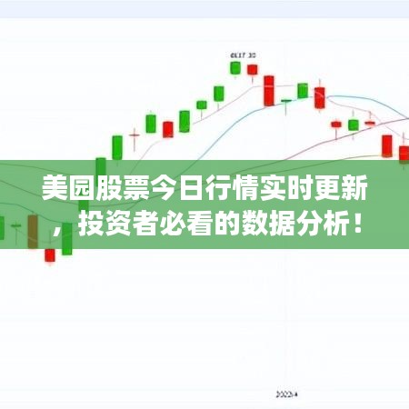 美園股票今日行情實(shí)時(shí)更新，投資者必看的數(shù)據(jù)分析！