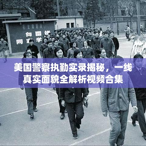 美國(guó)警察執(zhí)勤實(shí)錄揭秘，一線真實(shí)面貌全解析視頻合集
