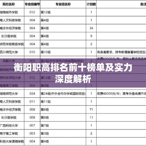 衡陽職高排名前十榜單及實力深度解析