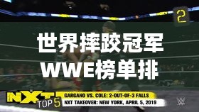 世界摔跤冠軍WWE榜單排名揭曉！