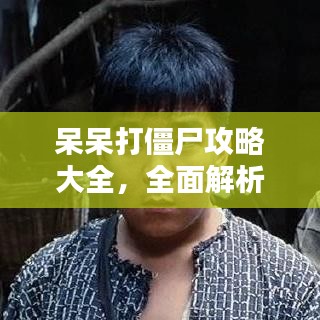 呆呆打僵尸攻略大全，全面解析助你輕松通關(guān)！