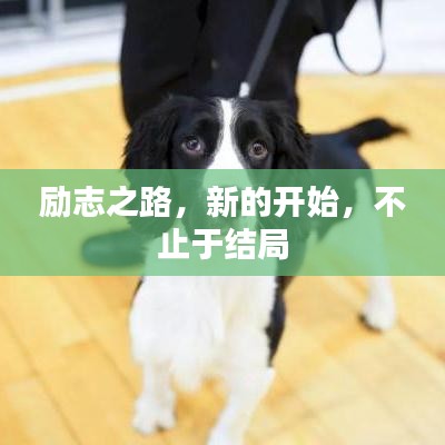 勵志之路，新的開始，不止于結局