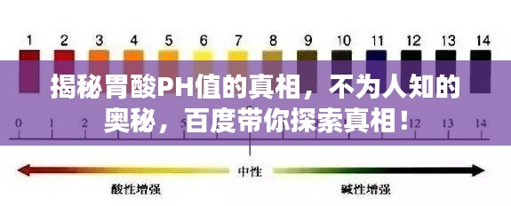 揭秘胃酸PH值的真相，不為人知的奧秘，百度帶你探索真相！