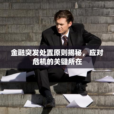 金融突發(fā)處置原則揭秘，應(yīng)對危機的關(guān)鍵所在