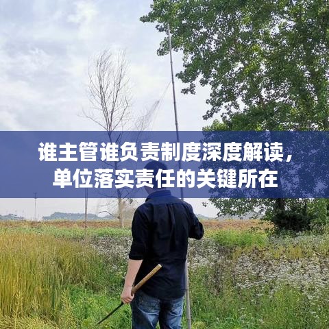 誰主管誰負(fù)責(zé)制度深度解讀，單位落實(shí)責(zé)任的關(guān)鍵所在
