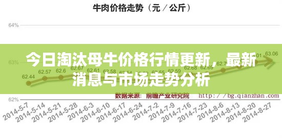 今日淘汰母牛價格行情更新，最新消息與市場走勢分析