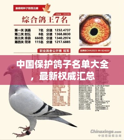 中國(guó)保護(hù)鴿子名單大全，最新權(quán)威匯總