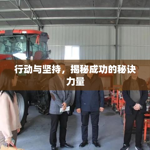 行動與堅持，揭秘成功的秘訣力量