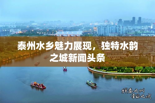 泰州水鄉(xiāng)魅力展現(xiàn)，獨(dú)特水韻之城新聞?lì)^條