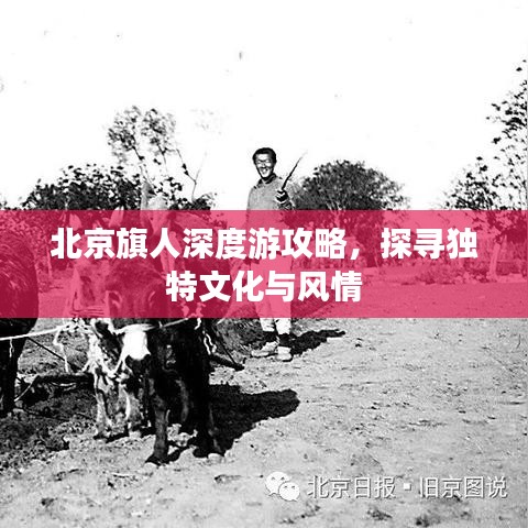 北京旗人深度游攻略，探尋獨特文化與風情