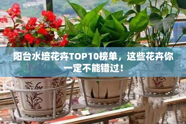 陽(yáng)臺(tái)水培花卉TOP10榜單，這些花卉你一定不能錯(cuò)過(guò)！