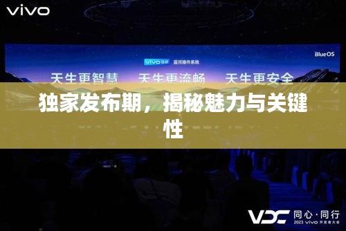 獨家發(fā)布期，揭秘魅力與關(guān)鍵性