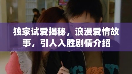獨(dú)家試愛揭秘，浪漫愛情故事，引人入勝劇情介紹