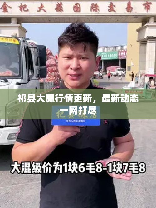 祁縣大蒜行情更新，最新動態(tài)一網(wǎng)打盡
