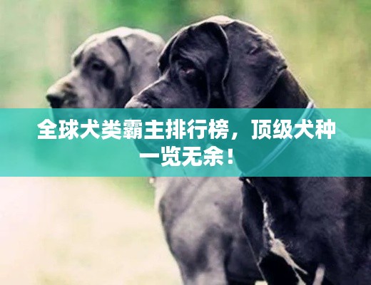 全球犬類霸主排行榜，頂級(jí)犬種一覽無(wú)余！