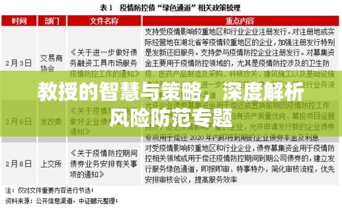 教授的智慧與策略，深度解析風險防范專題