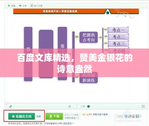 百度文庫精選，贊美金銀花的詩意盎然