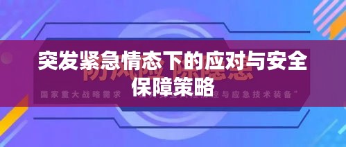 突發(fā)緊急情態(tài)下的應(yīng)對(duì)與安全保障策略