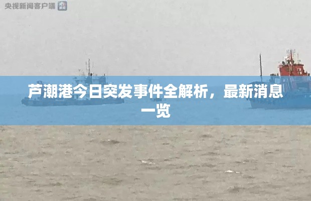 蘆潮港今日突發(fā)事件全解析，最新消息一覽
