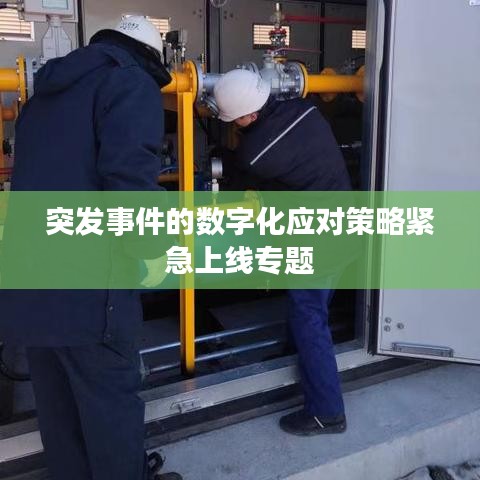 突發(fā)事件的數(shù)字化應對策略緊急上線專題