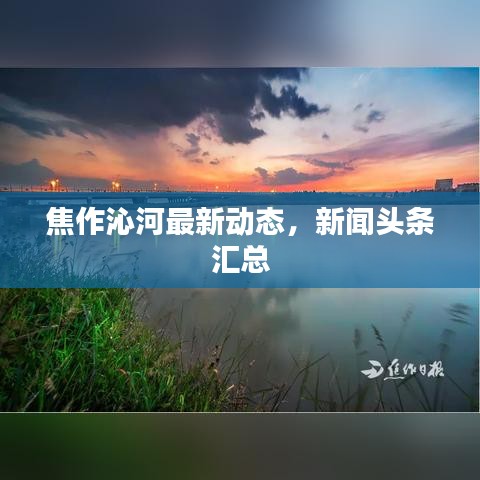 焦作沁河最新動態(tài)，新聞頭條匯總