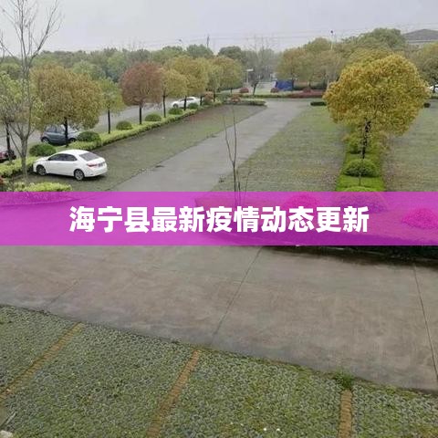 海寧縣最新疫情動態(tài)更新