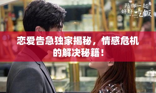戀愛告急獨(dú)家揭秘，情感危機(jī)的解決秘籍！