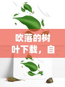 吹落的樹葉下載，自然與音樂的夢(mèng)幻交融之旅