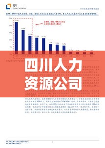 四川人力資源公司排行榜及行業(yè)影響力深度解析