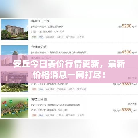 安丘今日姜價(jià)行情更新，最新價(jià)格消息一網(wǎng)打盡！